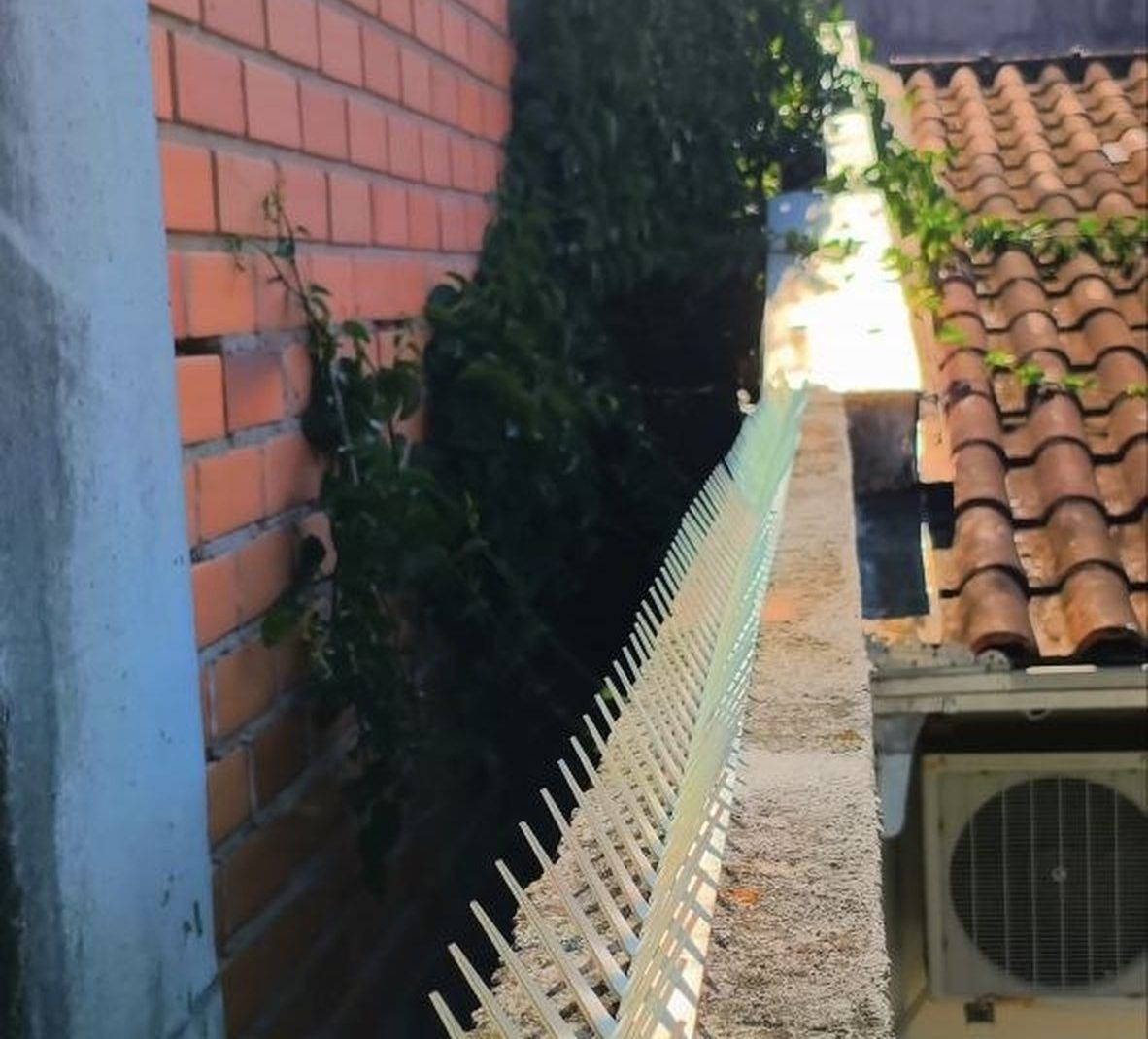 Lança protetora clara instalada ao longo do topo de um muro estreito, entre a parede de tijolos e o telhado do vizinho